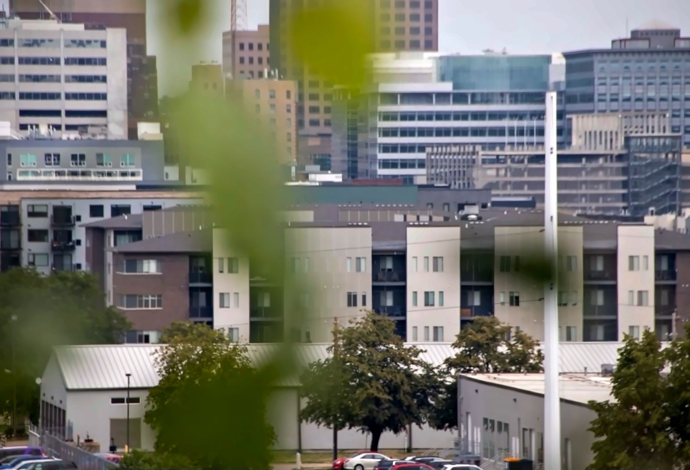 Apartment buildings framed through soft foreground leaves